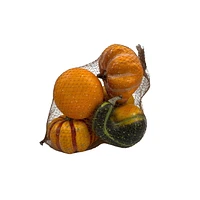 Way to Celebrate Orange & Green Baged Mini Pumpkin and Gourde 5pc