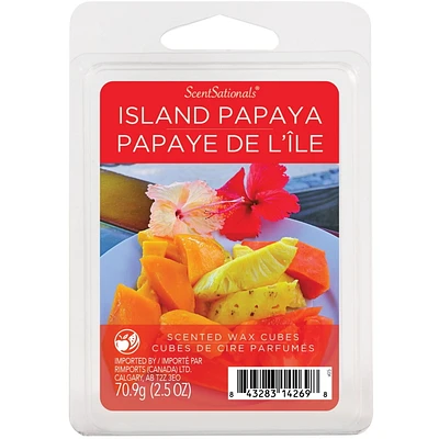 Cubes de cire parfumée ScentSationals - Papaye de l'île 2,5 fois (70,9 g)