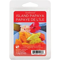 ScentSationals Scented Wax Cubes - Island Papaya, 2.5 oz (70.9 g)