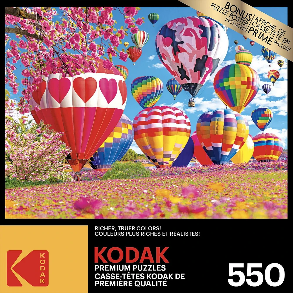 Kodak 550 Piece Puzzle - Pretty Hearts