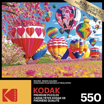 Kodak 550 Piece Puzzle - Pretty Hearts