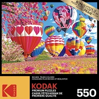 Kodak 550 Piece Puzzle - Pretty Hearts