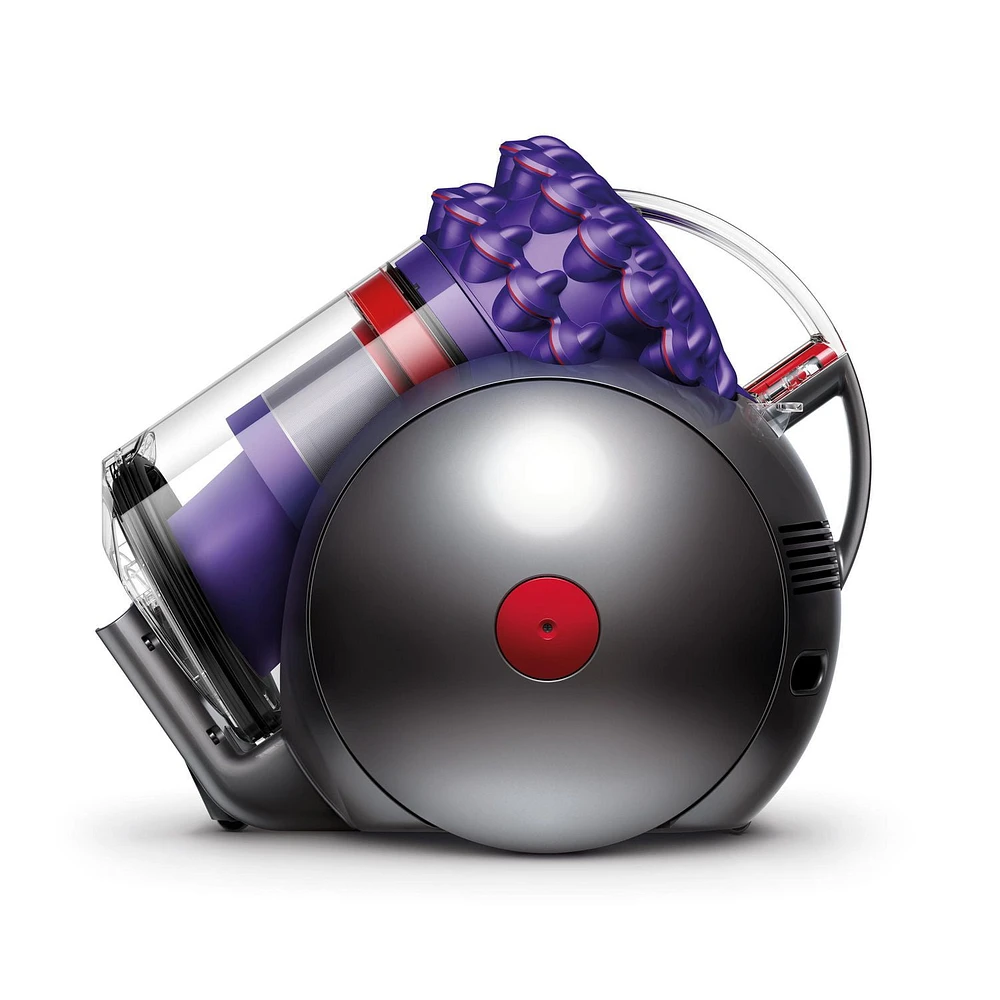 Dyson Cinetic Big Ball Animal Pro