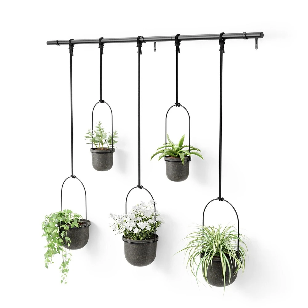 Umbra - Jardinière suspendue Triflora, lot de 5