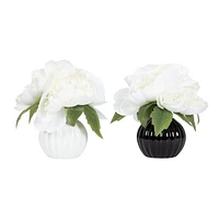 Enola Peonies in Ceramic Pot, 7.5"H x 4"Diameter