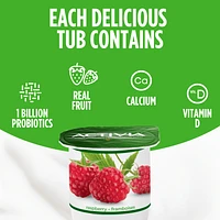 Activia Yogourt Probiotique, 3x framboise, 3x pomme, 3x mûre, 3x fraise 12 x 100g
