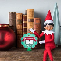 The Elf On The Shelf -Scout Elves at Play