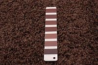 ECARPET Lotus Mod Dark Brown Shag 4'0" x 5'8"