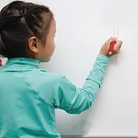 Pentel WhiteBoard Dry Erase Marker, 3.0mm Bullet Point, Red Ink, Box of 12