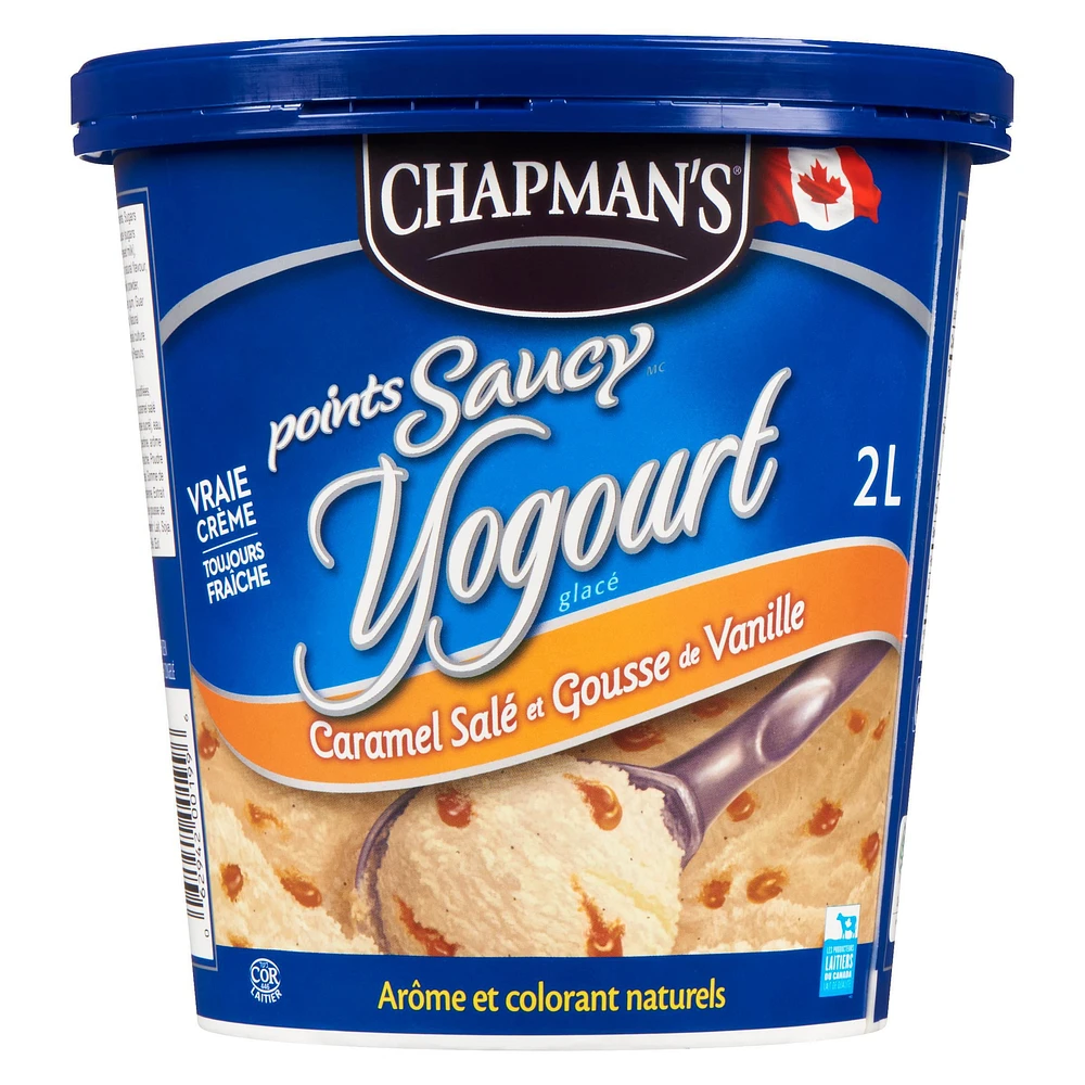 Chapman's Frozen Yogurt Salty Caramel and Vanilla Bean, 2L