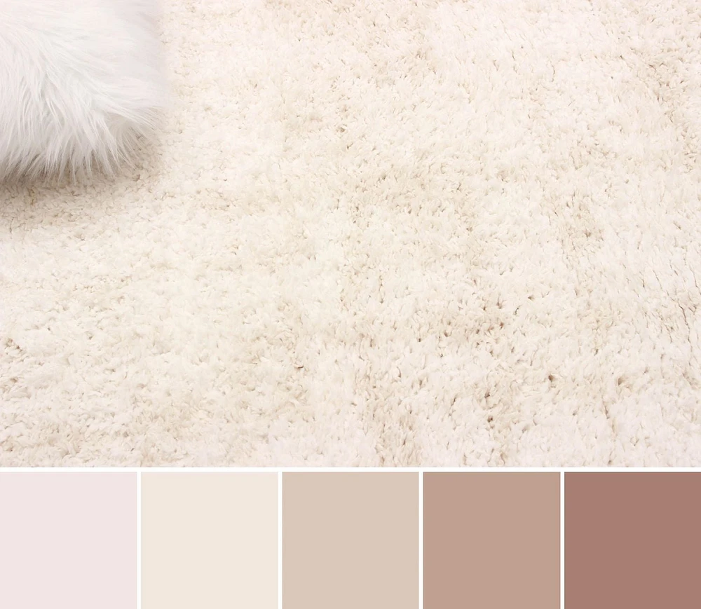 ECARPET Bliss 5'0" x 8'0" Contemporary/Modern, Plush & Shags Area Rug for Living Room, Bedroom, Dining Room, Entrance, Hallway and More.