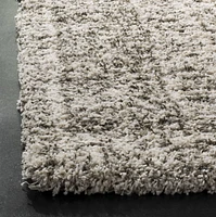 SAFAVIEH Hudson Raphael Contemporary Shag Area Rug