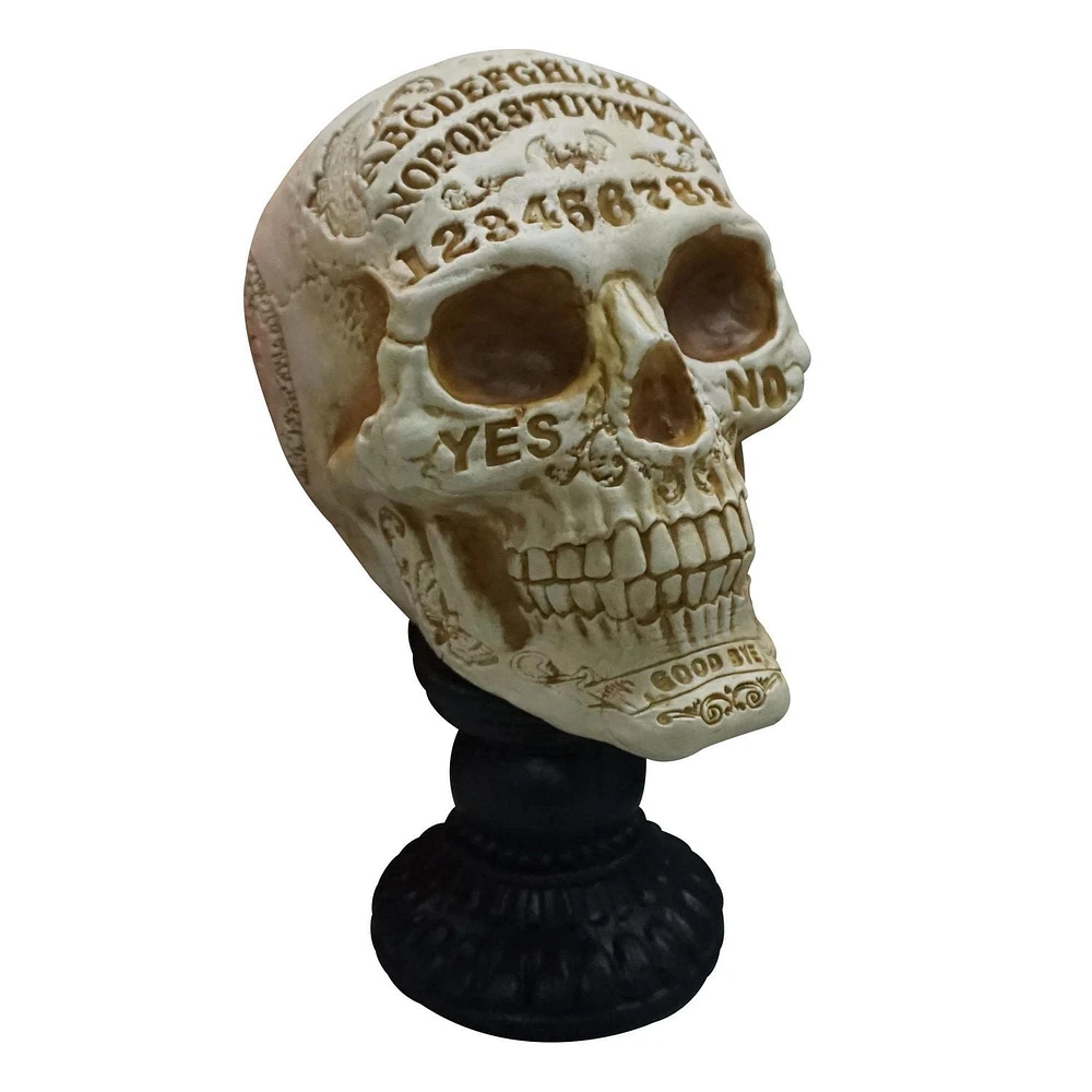 Way to Celebrate 10in Fortune Teller Skull