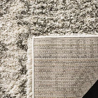 SAFAVIEH Hudson Raphael Contemporary Shag Area Rug