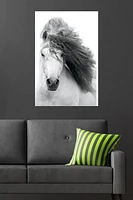 Grayscale Horse Wall Poster, 22.375" x 34"