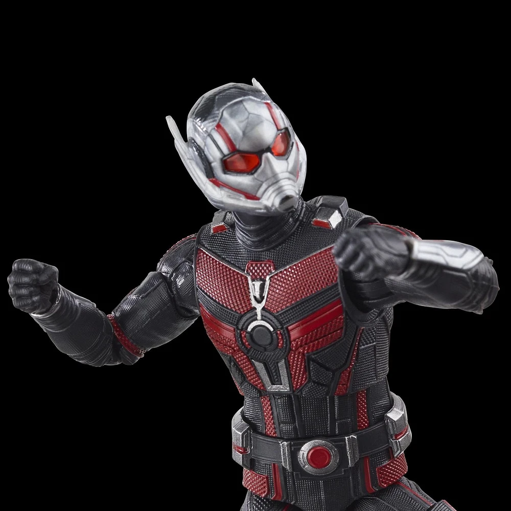 Hasbro Marvel Legends Series Ant-Man, Ant-Man & the Wasp: Quantumania Collectible 6 Inch Action Figures, Ages 4 and Up 
