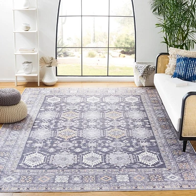 SAFAVIEH Serapee Caelie Tapis Traditionnel