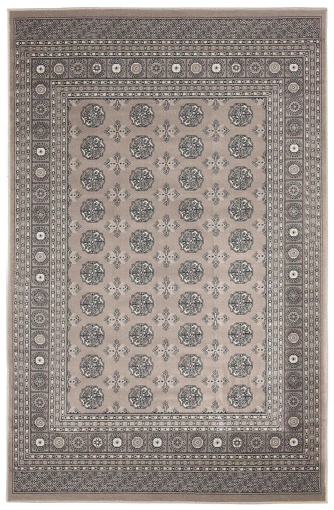 ECARPET Bokhara Oriental Area Rug  for Living Room, Dining Room, Bedroom