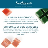 ScentSationals, Cubes de cire parfumés - Citrouille et bois de bouleau 2.5 oz (70.9 g)