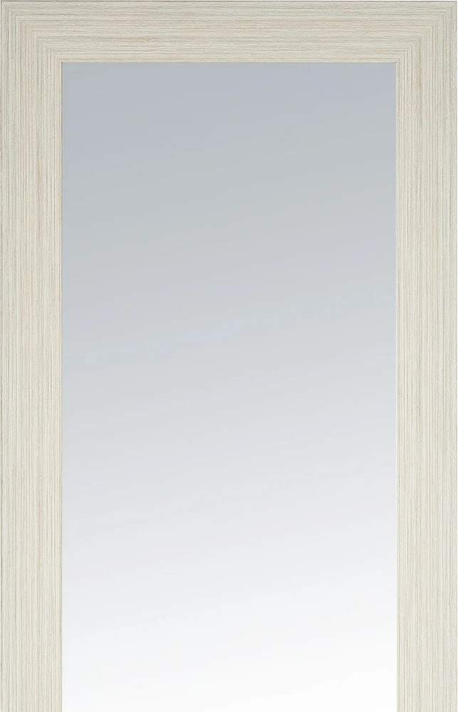 hometrends Miroir de porte en blanc blanchi 14x48po