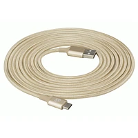 SCO 10FT USBC BRDGLD