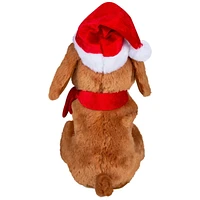 Begging Christmas Labradoodle