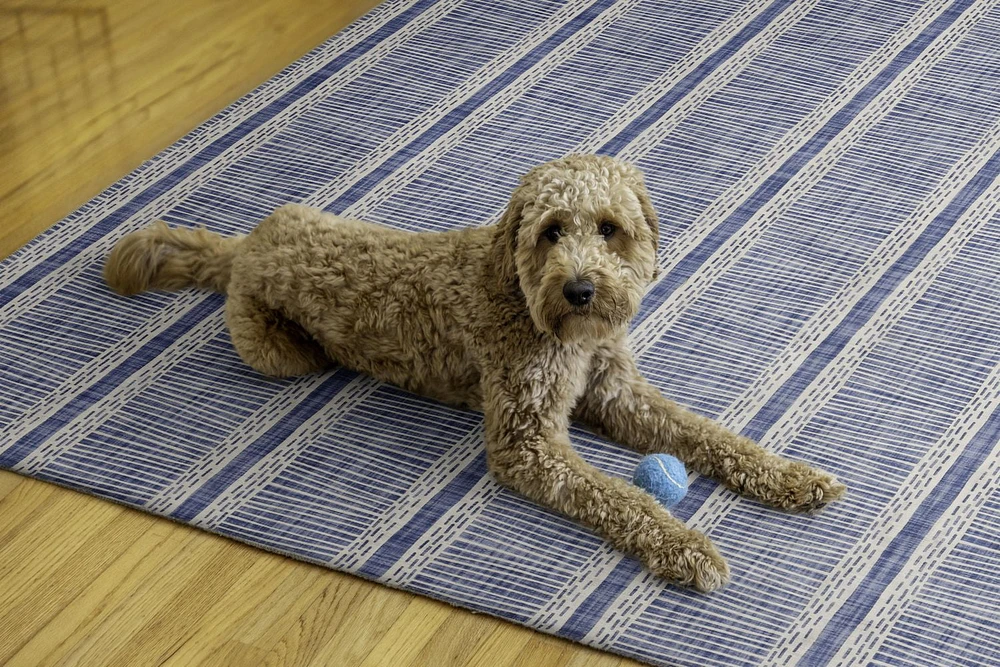 Tapis lavable Wallen 5 pi x 7 pi ivoire et bleu