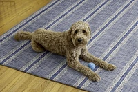 Tapis lavable Wallen 5 pi x 7 pi ivoire et bleu