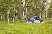Coleman Skydome 8-Person Camping Tent, 12 x 13.5 ft.