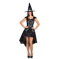 Adult Silver Witch  Costume-sizes Small and Medium/Large