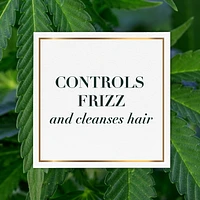 Herbal Essences bio:renew Hemp + Potent Aloe Sulfate Free Shampoo Frizz Control, 600 mL