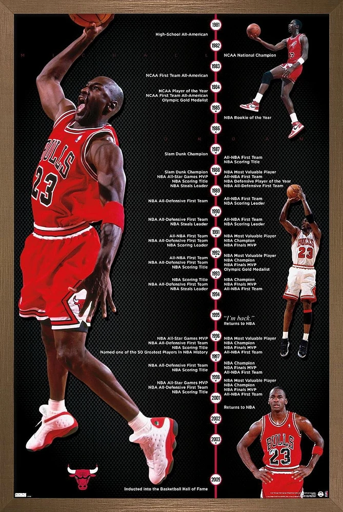 Michael Jordan - Timeline Wall Poster