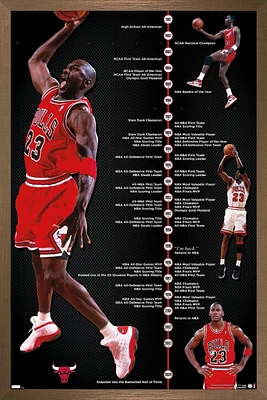 Michael Jordan - Timeline Wall Poster