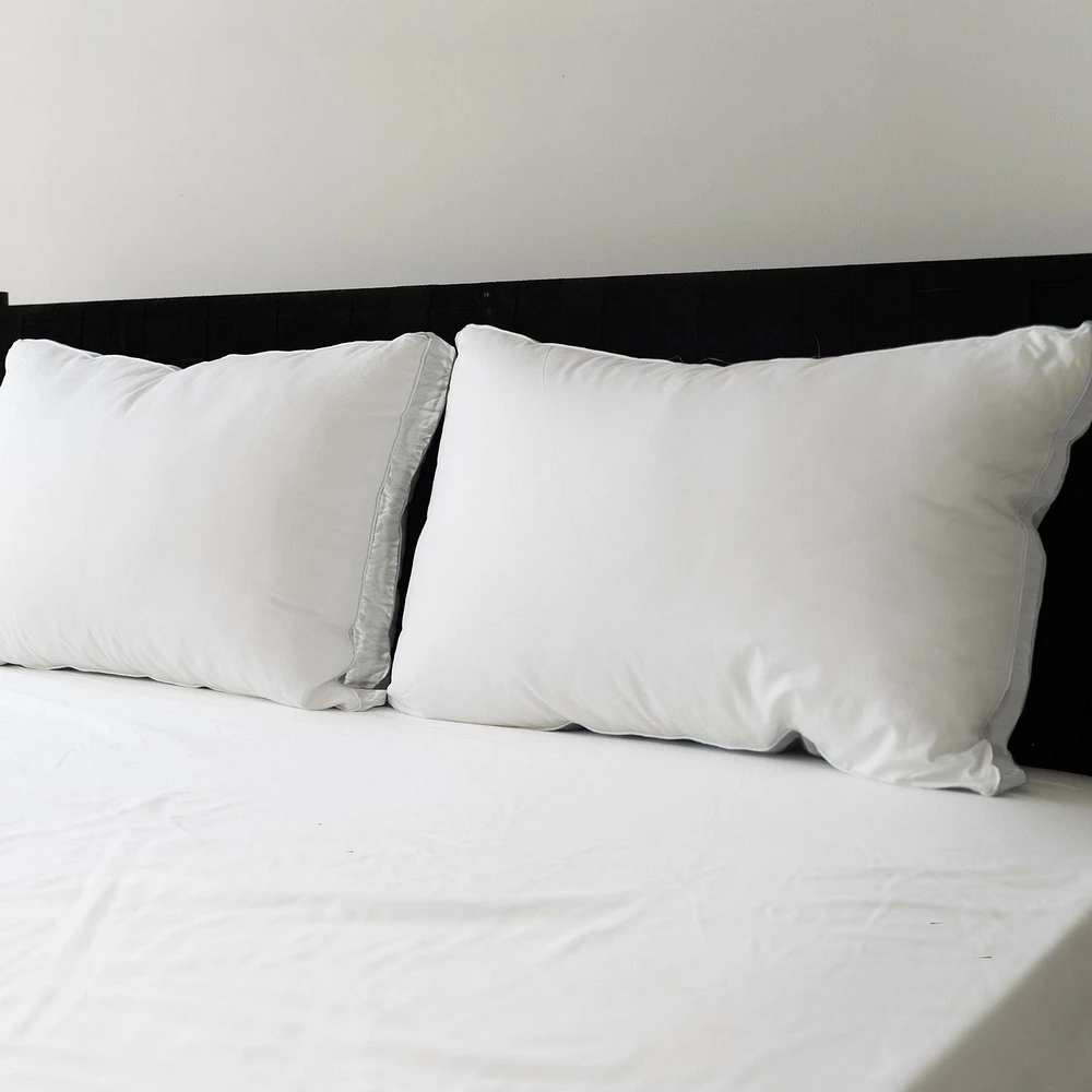 Sealy Extra Firm Support Back Sleeper Cotton Cover Machine Washable Bed Pillow- 2 Pack