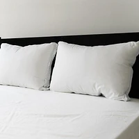 Sealy Extra Firm Support Back Sleeper Cotton Cover Machine Washable Bed Pillow- 2 Pack