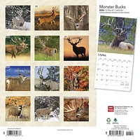 BrownTrout Monster Bucks 2024 12x24 Inch Square Wall Calendar, 9781975464073