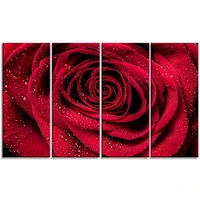 Design Art Red Rose Petals with Rain Droplets Floral Canvas Art Print