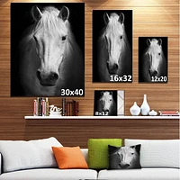 Designart White Horse Black and White Canvas Wall Art