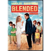 Blended (DVD + Digital Copy) (Bilingual)