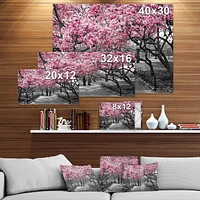 Designart Fleurs de cerisier Art mural sur toile