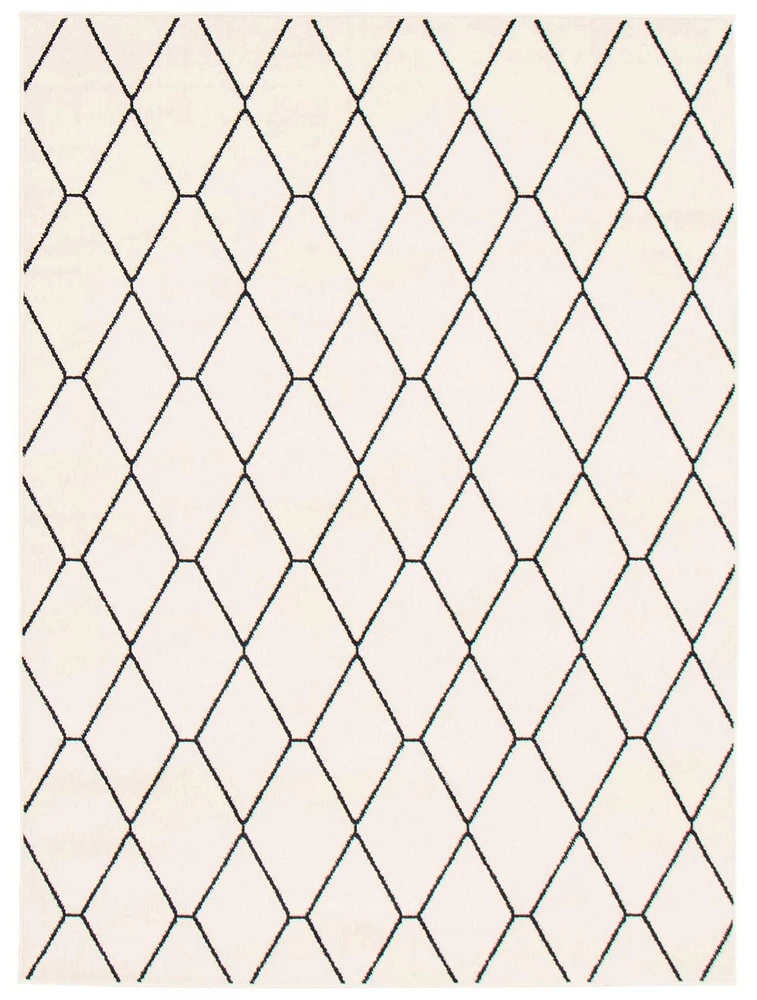 ECARPET Contemporary Area Rug for Living Room, Bedroom, Dinning Hall