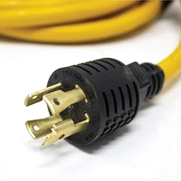 FIRMAN Heavy Duty L14-30P to (4) 5-20R 25' Cord