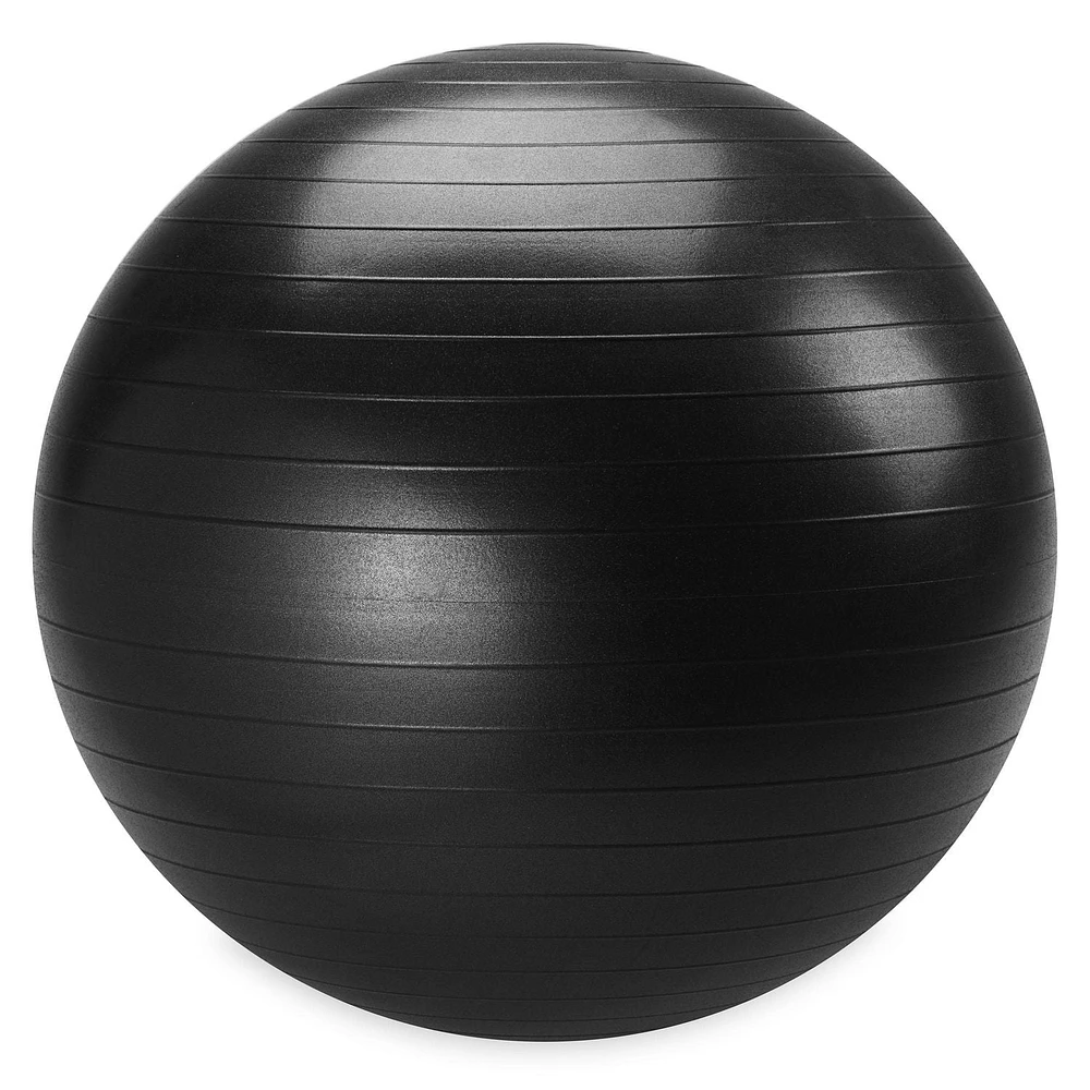 Reebok Delta 75 cm Large Weighted Stability Ball, Pump Included, Various sizes available