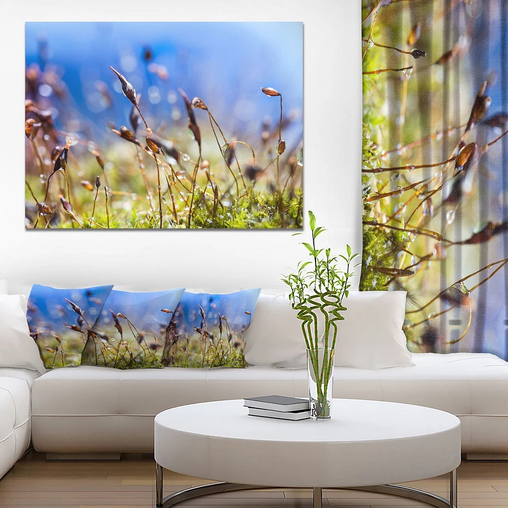 Design Art Fleurs De Printemps Été Moss Art Sur Toile