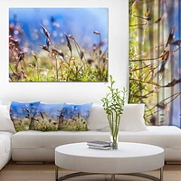 Design Art Fleurs De Printemps Été Moss Art Sur Toile