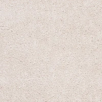 SAFAVIEH August Carlene Solid Plush Shag Area Rug