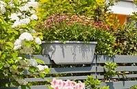 Hometrends Jardinière de 61 cm pour dessus de rambarde Jardinière de 61 cm pour dessus de rambarde