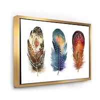 Designart Colourful Boho Feather Set IX FLOAT FRAME WALL ART