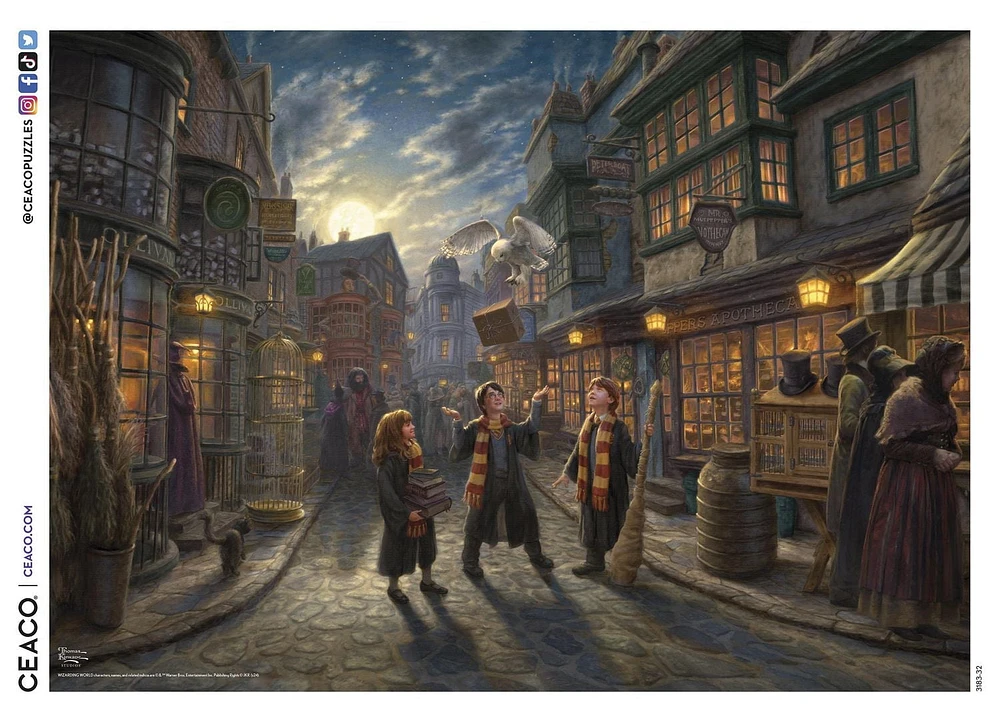 Ceaco 1000pc Disney Puzzle "Harry Potter Diagon Alley" by Thomas Kinkade
