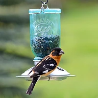 Mangeoire d'oiseaux style bocal de conserve Mason de Perky-Pet